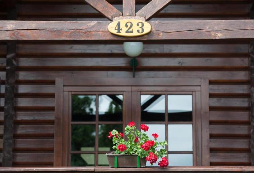 带1个卧室的高级公寓, Petneházy Apart