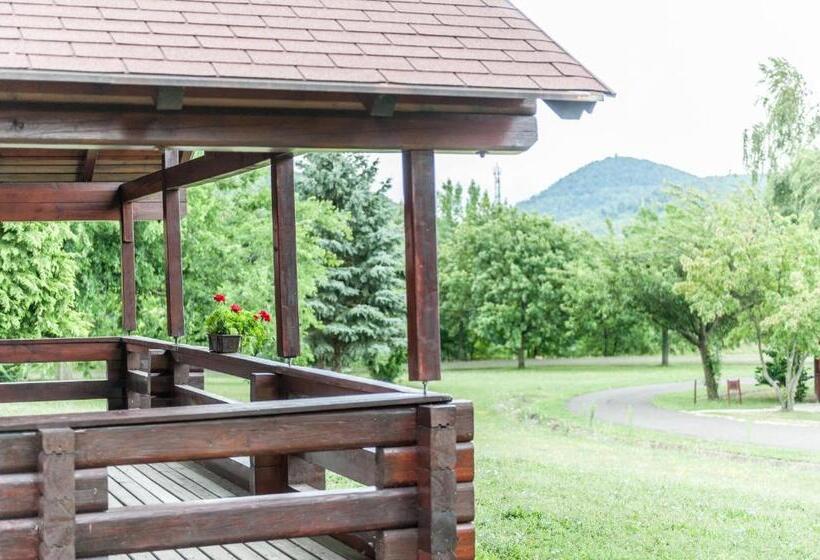 带1个卧室的高级公寓, Petneházy Apart