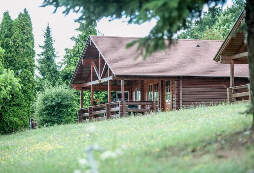 带1个卧室的高级公寓, Petneházy Apart