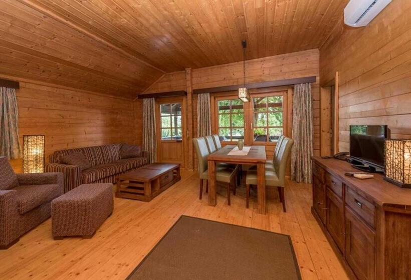 带1个卧室的高级公寓, Petneházy Apart