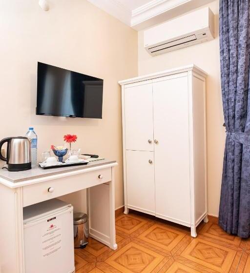 اتاق استاندارد, Alzer Hotel Special Class