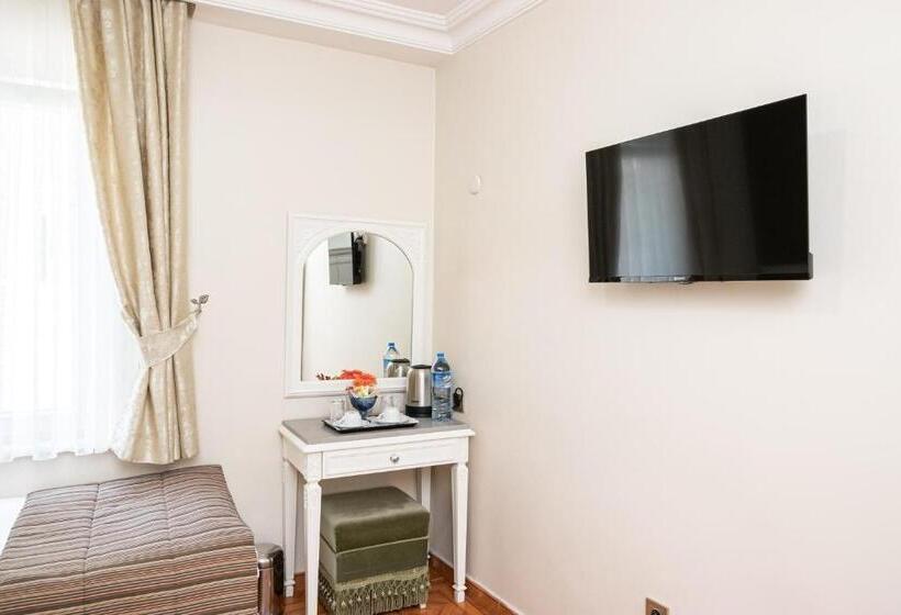 اتاق استاندارد, Alzer Hotel Special Class