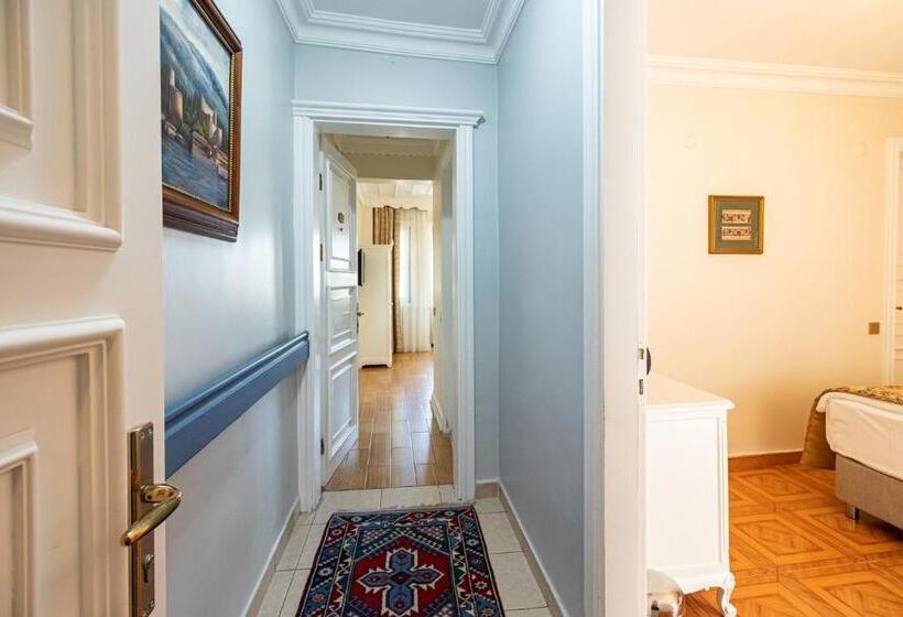 اتاق خانوادگی تودرتو, Alzer Hotel Special Class