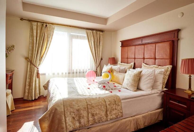 キングサイズベッドのスイートルーム, Alzer Hotel Special Class