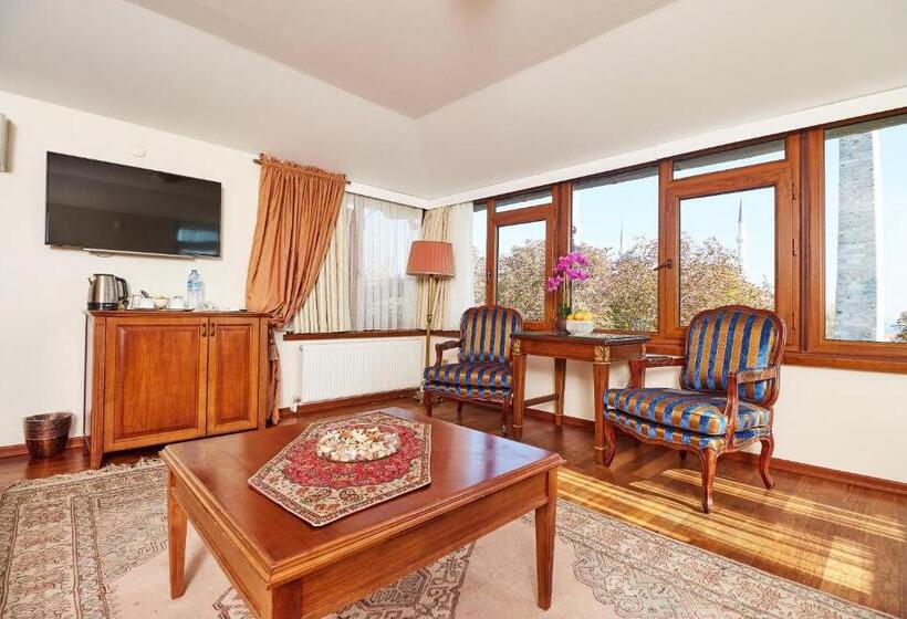 سوئیت با تخت بزرگ, Alzer Hotel Special Class