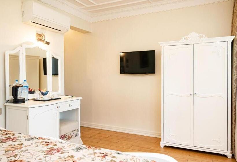 سوئیت با چشم‌انداز, Alzer Hotel Special Class