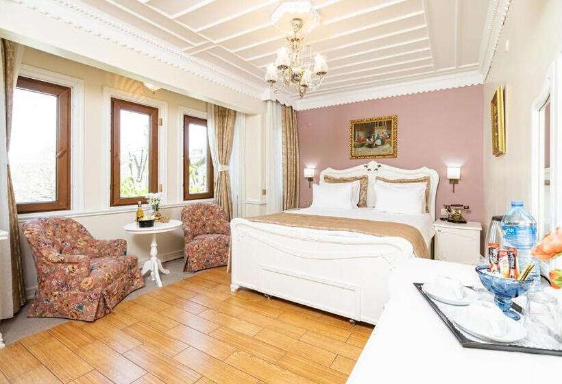 سوئیت با چشم‌انداز, Alzer Hotel Special Class