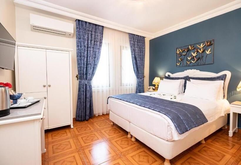 اتاق استاندارد, Alzer Hotel Special Class