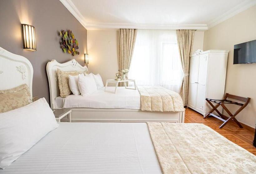 اتاق خانوادگی تودرتو, Alzer Hotel Special Class