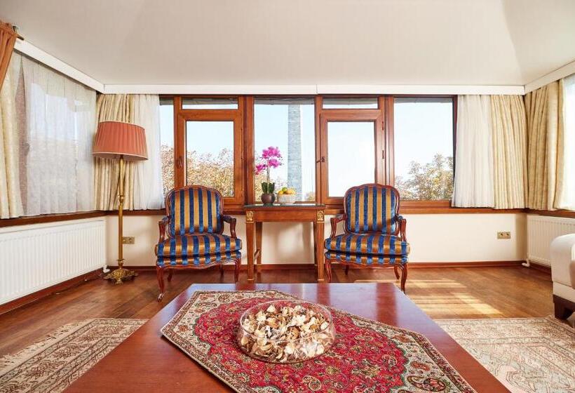 سوئیت با تخت بزرگ, Alzer Hotel Special Class