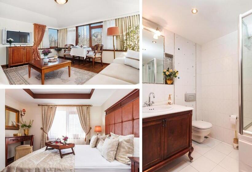 سوئیت با تخت بزرگ, Alzer Hotel Special Class