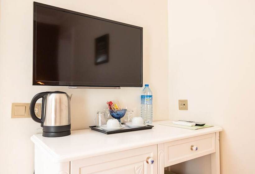 اتاق استاندارد, Alzer Hotel Special Class