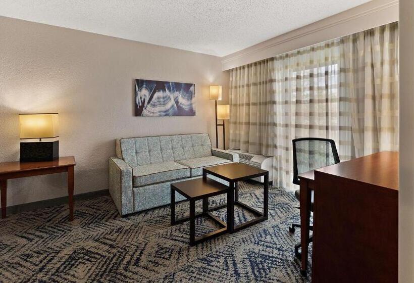 Люкс, Best Western Spartanburg Northwest