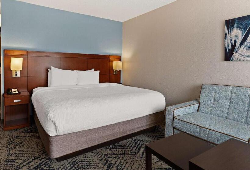 غرفة قياسية سرير كينج لذوى الإحتياجات الخاصة, Best Western Spartanburg Northwest