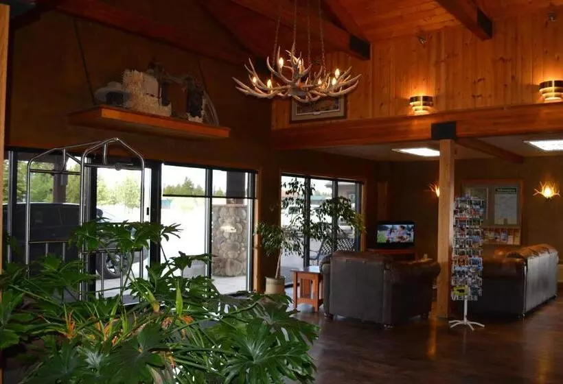 اتاق استاندارد, Brandin Iron Inn