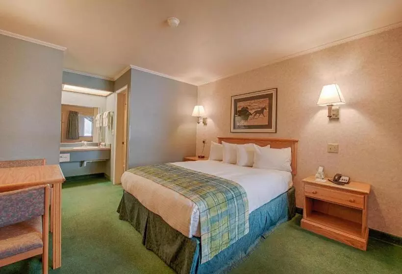 اتاق استاندارد, Brandin Iron Inn