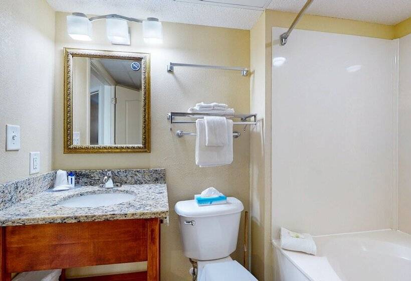 سوییت با چشمانداز دریا, Carolinian Beach Resort