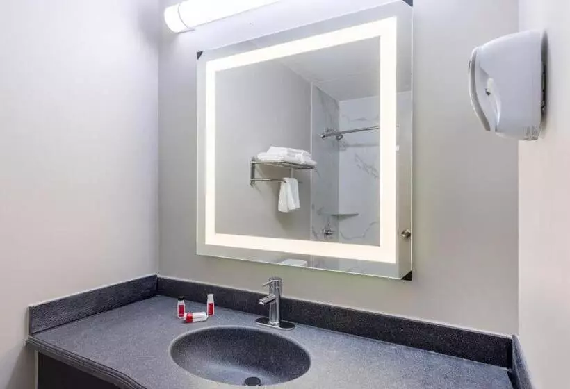 スタンダードルーム, Days Inn & Suites By Wyndham Fort Bragg/cross Creek Mall