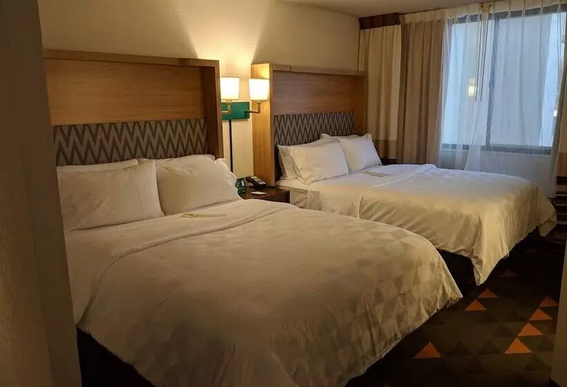 اتاق استاندارد با 2 تخت دوبل, Holiday Inn Champaign, An Ihg