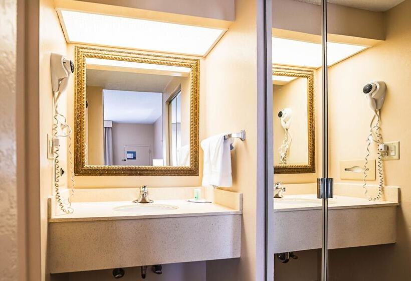 غرفه قياسيه سريرين مزدوجين, Quality Inn & Suites