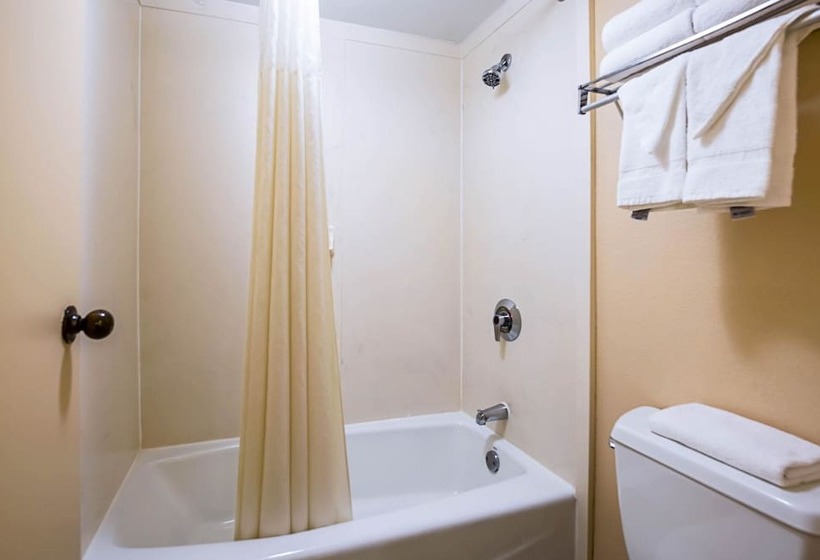 غرفه قياسيه سريرين مزدوجين, Quality Inn & Suites