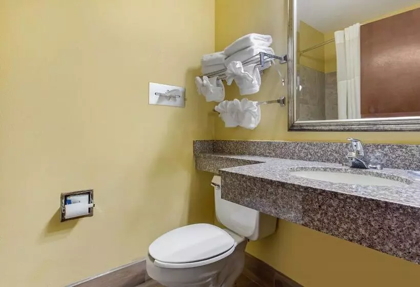 ２ダブルベッドのスタンダードルーム, Quality Inn Williamston