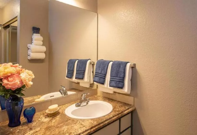 １ベッドルームアパートメント, Thunderbird Resort Club