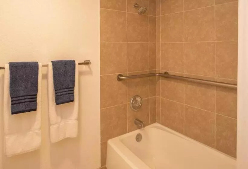１ベッドルームのデラックスアパートメント, Thunderbird Resort Club