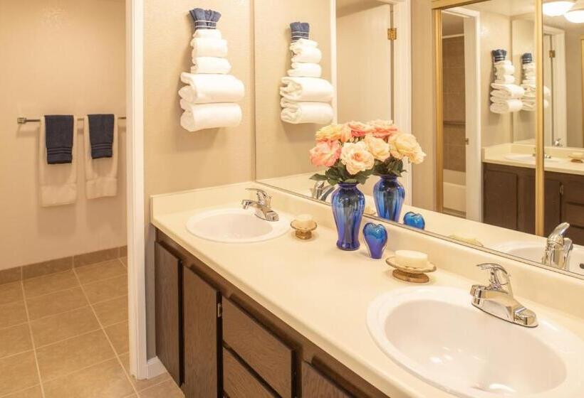 １ベッドルームのデラックスアパートメント, Thunderbird Resort Club