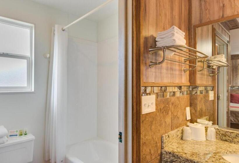 חדר סטנדרט עם מיטת קינג, Zion Park Motel