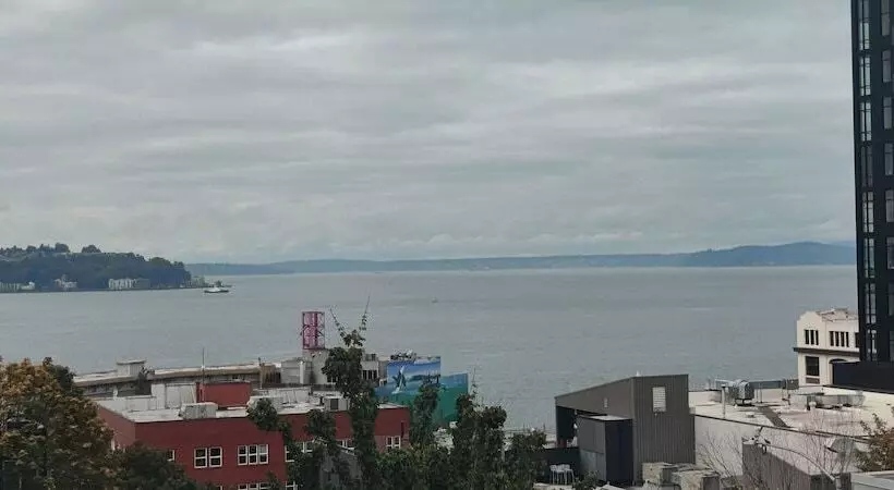 デラックスルーム, Ace Hotel Seattle