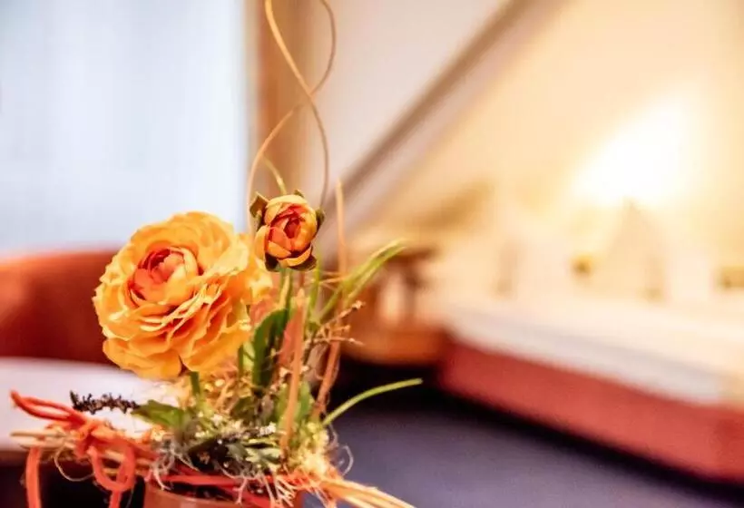 ジュニアスイート, Akzent Hotel Atrium Baden