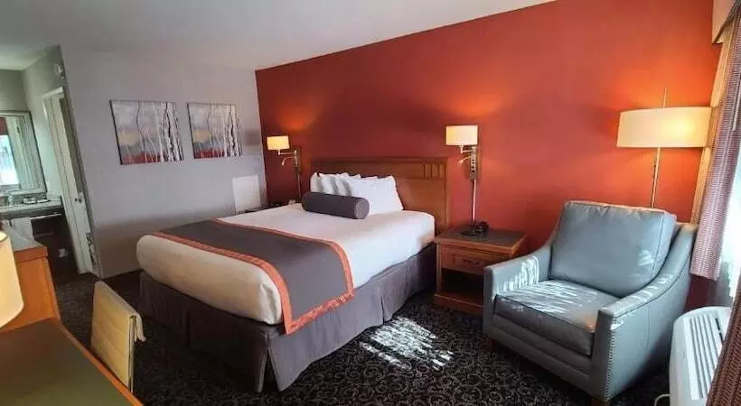 اتاق استاندارد, Dow Villa Motel