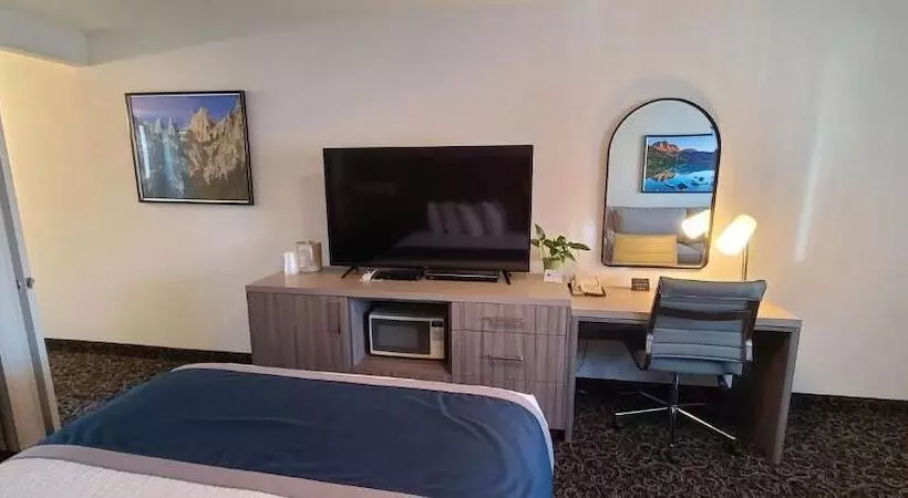 اتاق استاندارد, Dow Villa Motel