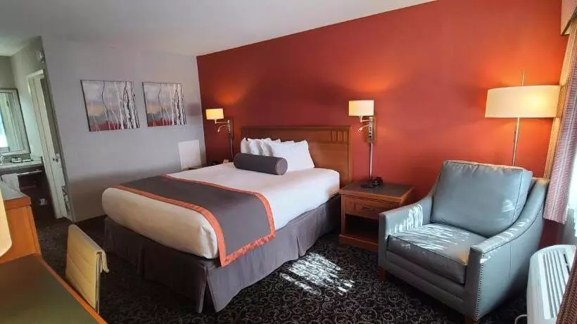 اتاق استاندارد با تخت بزرگ, Dow Villa Motel