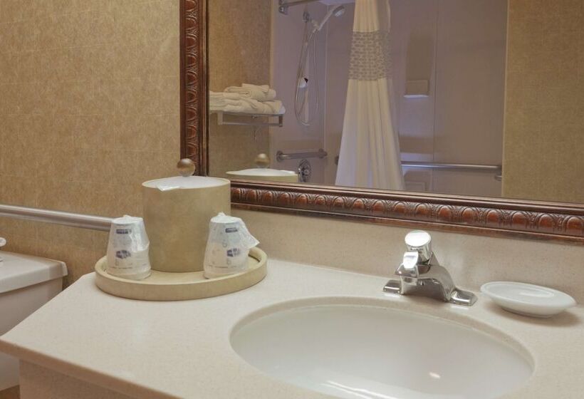 غرفه قياسيه سريرين مزدوجين, Hampton Inn Las Vegas/summerlin