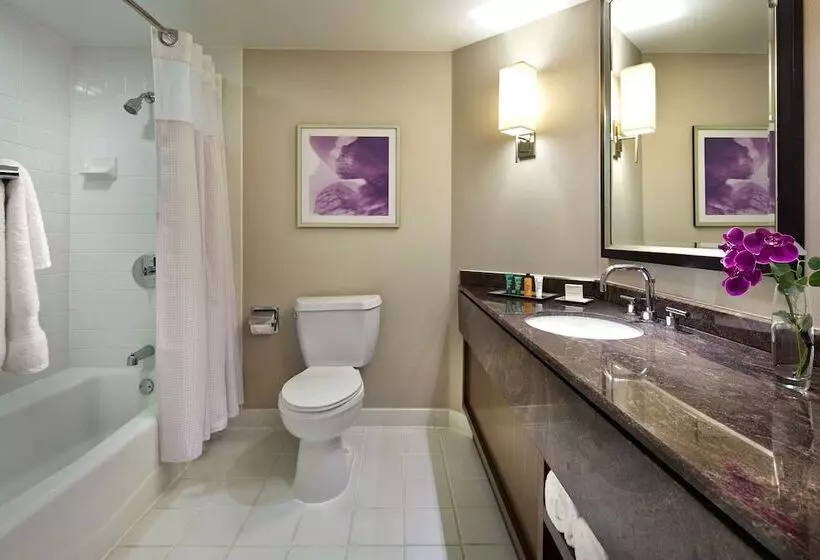 اتاق استاندارد با 2 تخت دوبل, Hilton Long Beach