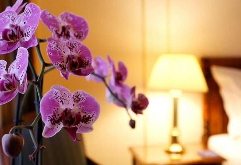 小型套房, Le Plaza Brussels