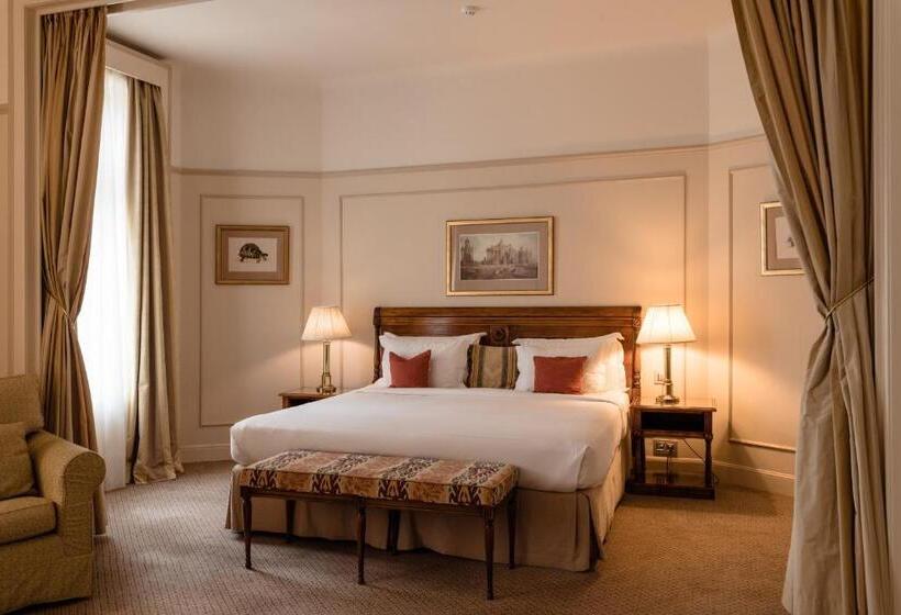 小型套房, Le Plaza Brussels