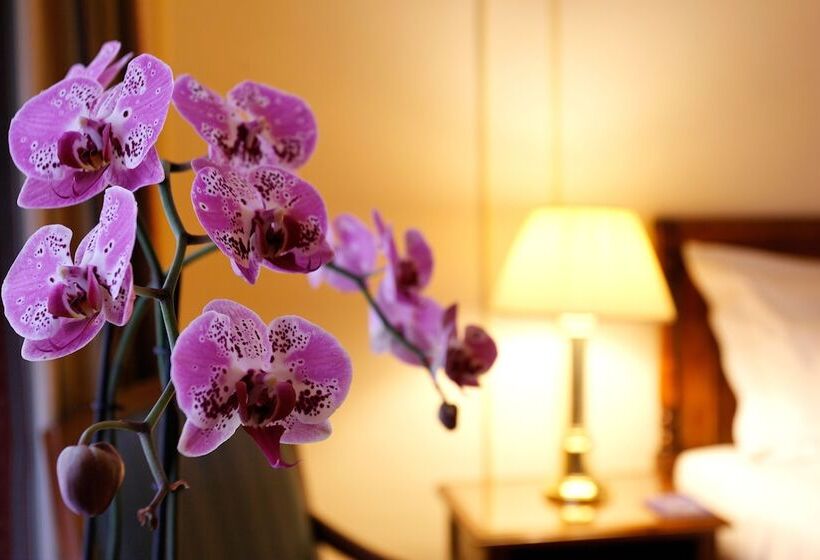 古典房间, Le Plaza Brussels