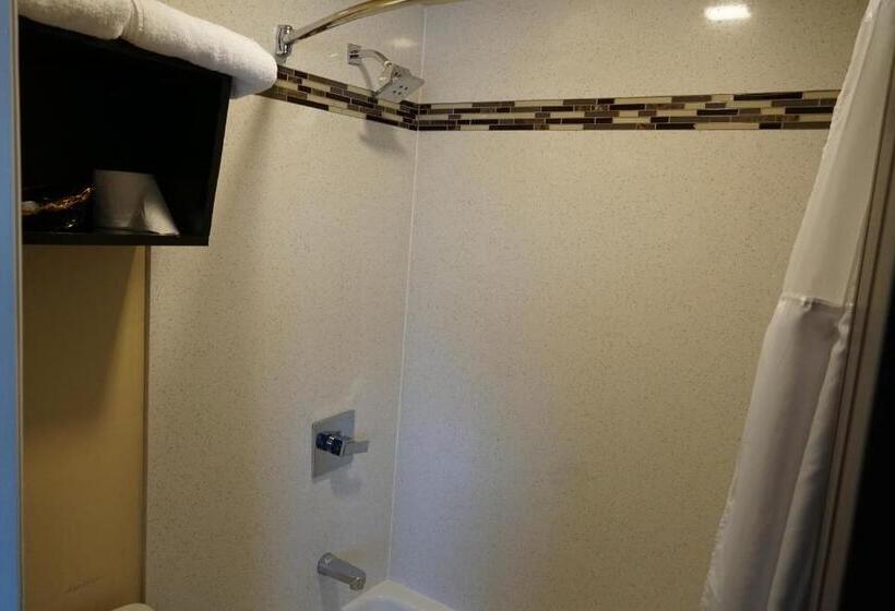 غرفة قياسية سرير كينج, Muir Woods Lodge