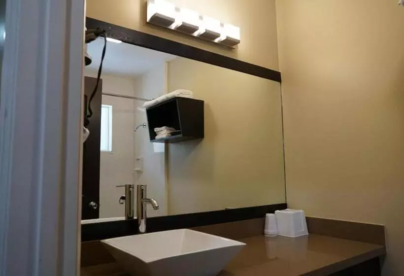 اتاق استاندارد با تخت بزرگ, Muir Woods Lodge