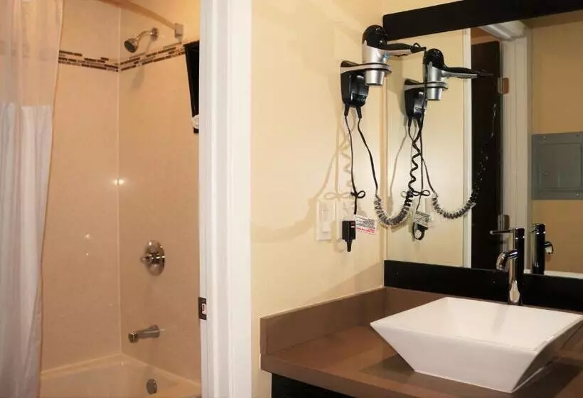 اتاق استاندارد, Muir Woods Lodge