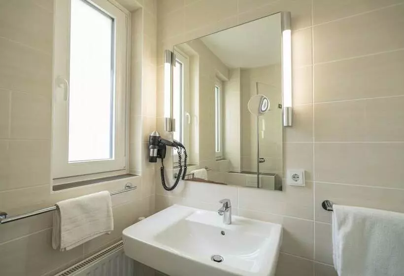 Standard Yhden Hengen Huone, Np Hotel Königshof