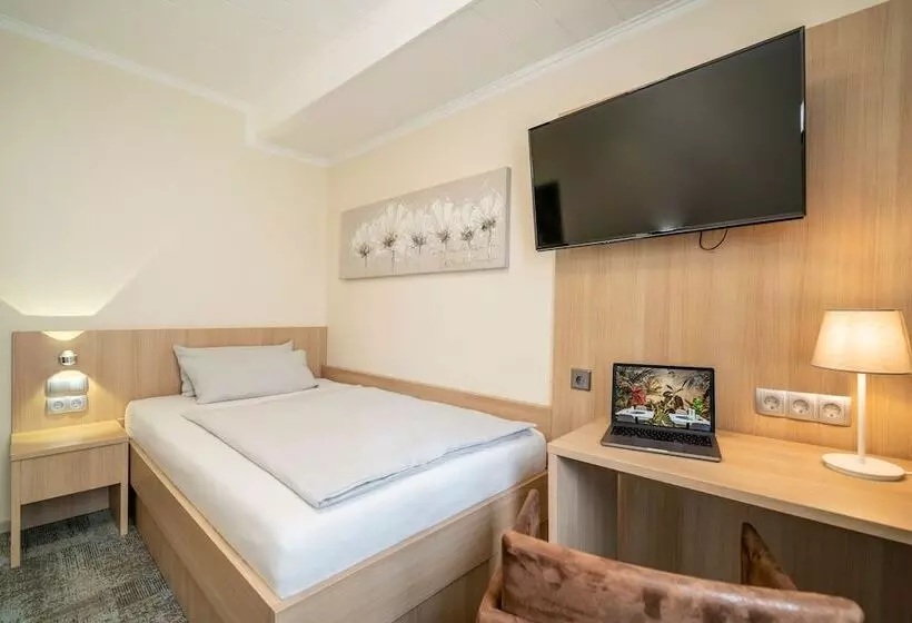 Standard Yhden Hengen Huone, Np Hotel Königshof