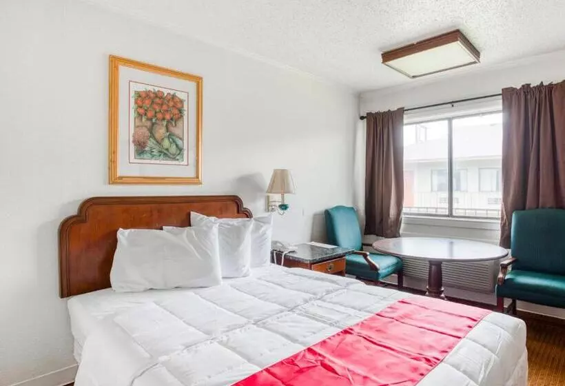 スタンダードルーム, OYO Hotel San Antonio East