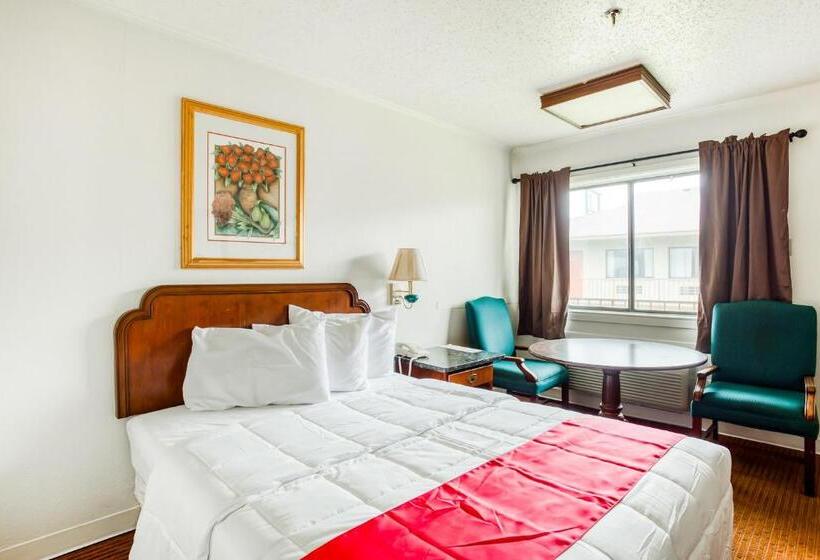 스탠다드 룸, OYO Hotel San Antonio East