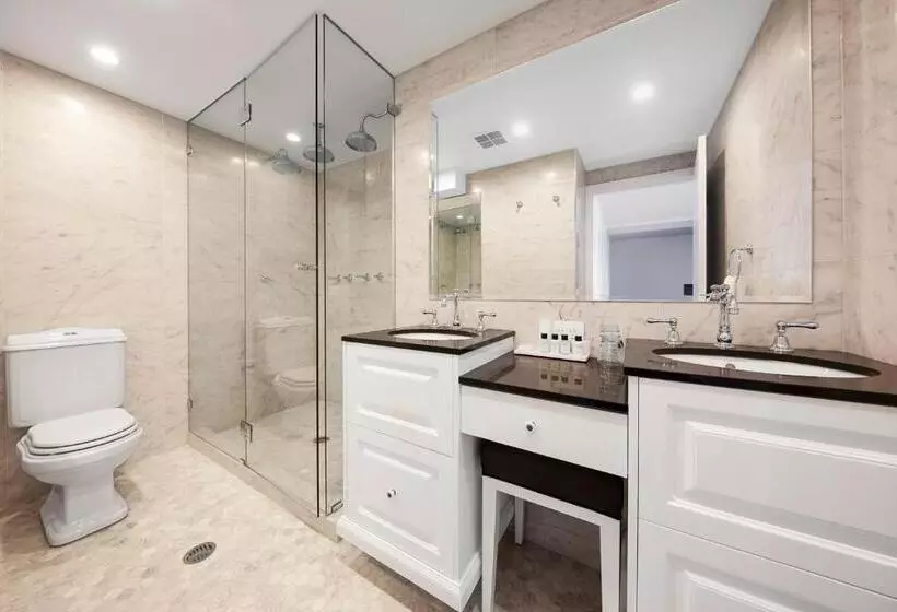 استودیوی استاندارد, Canberra Rex