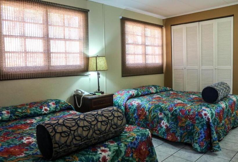 آپارتمان 1 خوابه, Coconut Inn