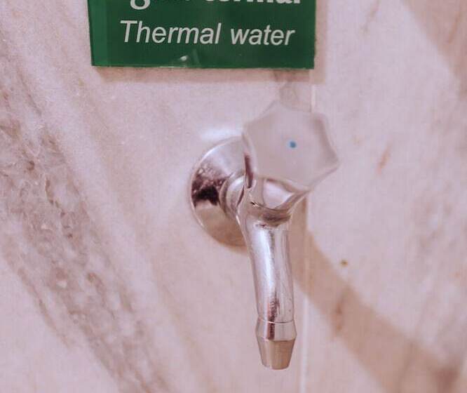 Номер Deluxe, Plaza Caldas Da Imperatriz Resort & Spa